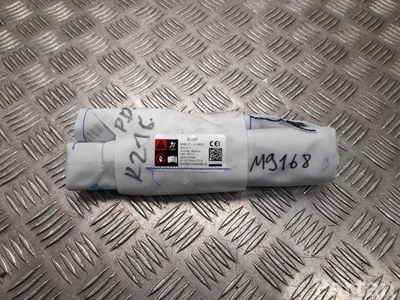 Tesla 1077830-CN-F / 1077830CNF MODEL 3 2021 Side Airbag Right - Image 1