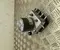Renault 476605713R Clio V 2023 Unité de commande hydraulique ABS - Image 2