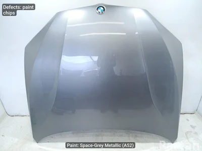 BMW 7502056, 8616950, 9320239 X5 (F15, F85) 2014 Gaubtas - Paveiksliukas 1