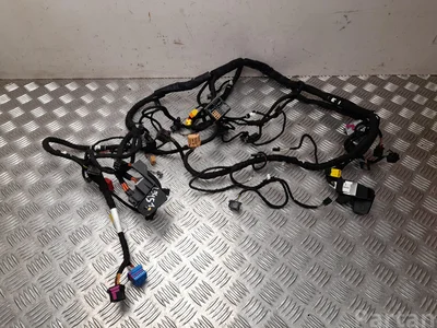 Audi 4H1 971 459 D / 4H1971459D A8 (4H_) 2016 Harnais pour intérieur - Image 1