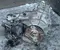 Ford AB397A195BF RANGER (TKE) 2018 Transfer Case - Image 2