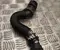 Opel 9849655080 FRONTERA (OV24) 2025 Conducto del refrigerante - Imagen 3