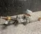 Toyota 45250-0DF51, 89650-0DC60 / 452500DF51, 896500DC60 Yaris P210 2024 Motor  power steering - Image 2