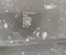 Gebrauchtes Original BMW 5175 9629828 / 51759629828 1 (F70) 2025 Radhausschale vorne rechts - Bild 2