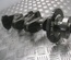 NISSAN P3C2HJJJHJLEF, 1KAOH JUKE (F15) 2011 Crankshaft