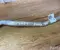 Ford L1BH19N617AE Puma 2025 Klimaleitung Klimaschlauch - Bild 2
