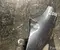 BMW X5 (G05) 2018 Wing left side - Image 3