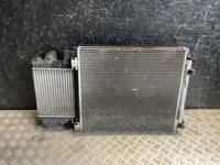 Nissan 921009251R, M163233, M164710 QASHQAI II (J11, J11_) 2015 Radiateur Refroidisseur d'air comprimé intermédiaire Ventilateur de radiateur Condenseur