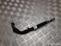 Ford USA L1M3-8D031-FCC / L1M38D031FCC EXPLORER (U6_) 2020 Wąż płynu chłodzącego