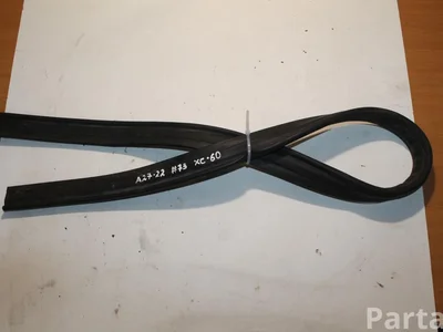 Volvo ILPEA XC60 2011 Sonstige Veredelungsdetail - Bild 1