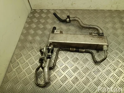 Ford USA L1MP-7869-E / L1MP7869E EXPLORER (U6_) 2020 Alyvos aušintuvas, automatinė transmisija - Paveiksliukas 1