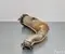 Porsche 4M0254200S ,8W0131703AG ,8W0178F / 4M0254200S, 8W0131703AG, 8W0178F Cayenne 9Y0 9Y3 2020 Katalysator - Bild 2
