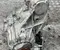 Original (gebraucht) Maserati 06700380720 LEVANTE 2024 Verteilergetriebe - Bild 1