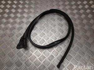 Polestar 8892892253, 1000120453 4 2025 Scellant De Porte En Verre Right Front