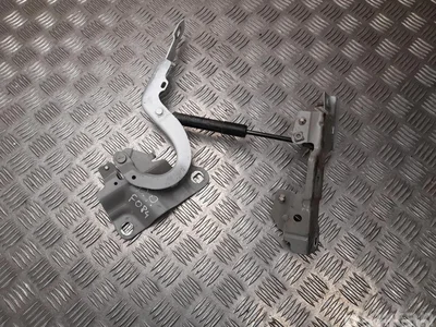 Renault 654009955R, 901264988R ZOE (BFM_) 2020 Charnière - Image 1