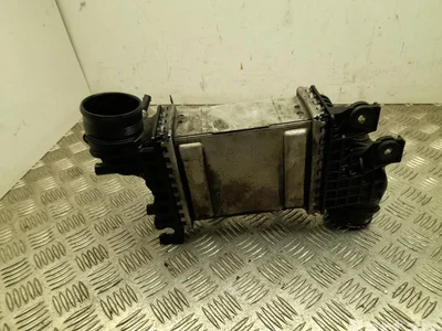 Volkswagen 04L 145 749 L / 04L145749L TRANSPORTER VI Bus (SGB, SGG, SGJ) 2017 Refroidisseur d'air comprimé intermédiaire - Image 1