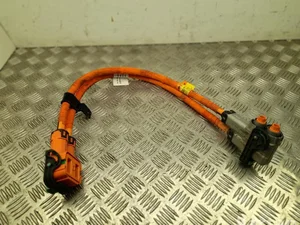 MG 10977691 MG4 Trophy 2024 Harnais