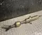 Lexus A71, 31521 LBX 2025 Katalysator - Bild 1