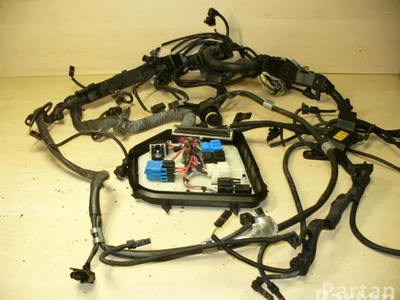 BMW 7575185 6 Convertible (F12) 2012 Fils du compartiment moteur - Image 1