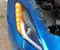 Chevrolet 23216693, L90028073 CORVETTE (C7) 2015 Phare à droite USA - Image 3