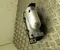 BMW 5A1C604 5 G60 2025 Trockner, Klimaanlage - Bild 1