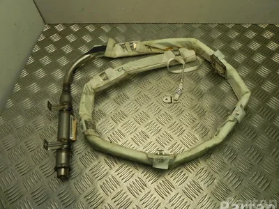 Nissan 6003828 PRIMERA Estate (WP12) 2003 Airbag de tête - Image 1