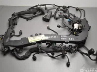 Mercedes-Benz A6510109418 ; A6511501596 / A6510109418, A6511501596 C-CLASS (W205) 2015 Motor Leitungssatz