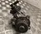 Gebrauchtes Original Škoda 05L130755 SUPERB III Kombi (3V5) 2023 Kraftstoffpumpe - Bild 1