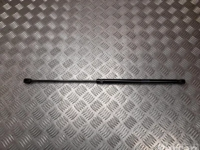 Ligier 38076548, 380765314, 380765 JS 50 2022 Ressort à gaz - Image 1