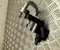 Hyundai 976R3KL600 IONIQ 6 2025 Expansionsventil, Klimaanlage - Bild 3