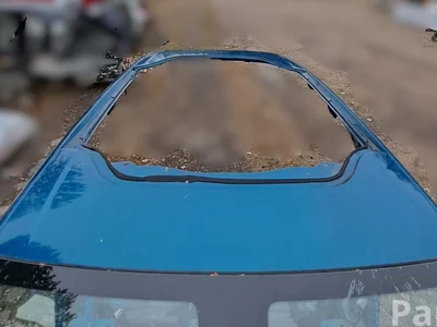 Citroën C4 CACTUS 2019 Dach - Zdjęcie 1