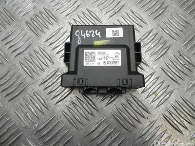 Opel 13521137 ASTRA K 2019 Unité de contrôle pour systèmes de stationnement - Image 1