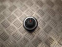 Dacia 251305880R Spring Electric (BBG) 2021 Levier de vitesse