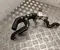Mercedes-Benz A 447 832 01 16, A 447 832 01 23 / A4478320116, A4478320123 VITO Tourer (W447) 2019 Pipe, coolant - Image 1