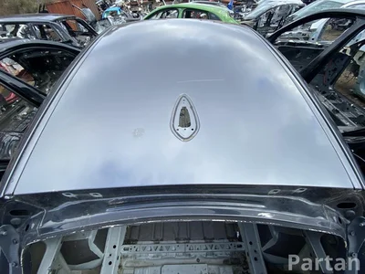 BMW X2 (F39) 2018 Stogas - Paveiksliukas 1