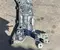 Gebrauchtes Original Ford FAX0175 Kuga III 2025 Querträger vorne - Bild 1
