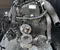 Iveco F1AGL411A DAILY VI Kasten 2023 Komplettmotor vorne - Bild 1