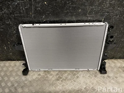 Audi 8MK376719 Q7 (4L) 2008 Chłodnica - Obraz 1