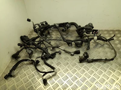 Toyota 0219-3W / 02193W COROLLA ( E210) Sedan 2022 Fils du compartiment moteur - Image 1