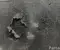 Porsche 971.825.311.F, 971.825.311 / 971825311F, 971825311 PANAMERA (971) 2018 Dugno Apsauga Centrinis Variklio - Paveiksliukas 3
