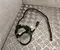 BMW 8571669 X5 (G05) 2018 Tube de distribution de carburant - Image 1