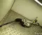 Hyundai 57700KL090 IONIQ 6 2025 Steering rack - Image 1