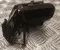 Volvo 8891874260 EX30 (416) 2024 Respiradero Right Front - Imagen 2