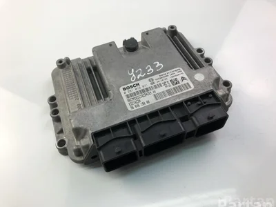 Citroën 9664618080; 0281013871 / 9664618080, 0281013871 BERLINGO (B9) 2010 Unité de contrôle moteur - Image 1