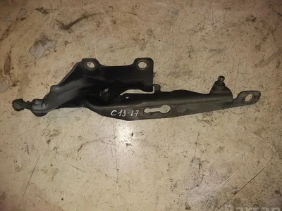 Volvo 31250185 V70 III (BW) 2014 Charnière - Image 1