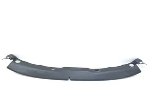 Chevrolet 15239504, S302676216, AAA38891, AAE34277 CORVETTE (C6) 2005 Autres pièces intérieures