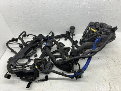 Gebrauchtes Original Hyundai 919A5N9000, 91660P0100 Tucson (NX4) 2022 Motor Leitungssatz - Bild 1