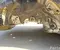 BMW 5 G60 2025 Body quarter Right Rear - Image 2