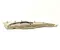 BMW 9203128, 3003016900 6 Coupe (F13) 2012 Grille de haut-parleur - Image 2