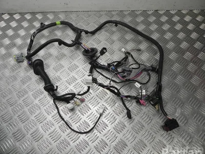 Tesla 1004424-01-M / 100442401M MODEL S 2015 Harnais pour intérieur Porte - Image 1